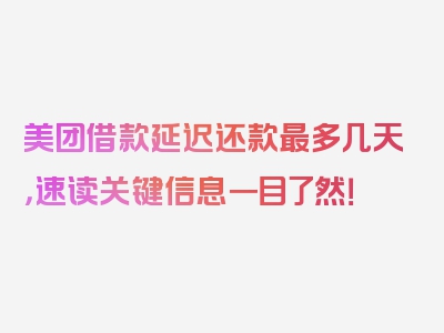 美团借款延迟还款最多几天，速读关键信息一目了然！