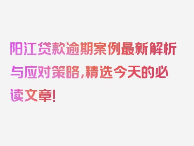 阳江贷款逾期案例最新解析与应对策略，精选今天的必读文章！