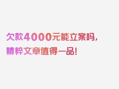 欠款4000元能立案吗，精粹文章值得一品！