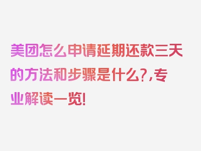 美团怎么申请延期还款三天的方法和步骤是什么?，专业解读一览！