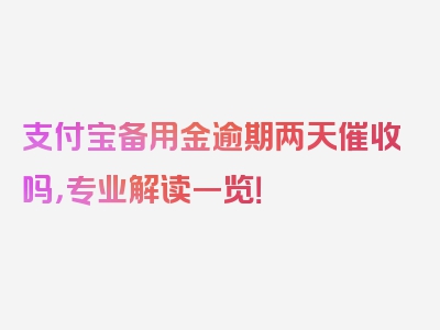 支付宝备用金逾期两天催收吗，专业解读一览！