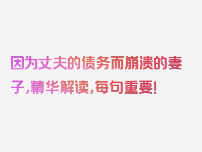 因为丈夫的债务而崩溃的妻子，精华解读，每句重要！