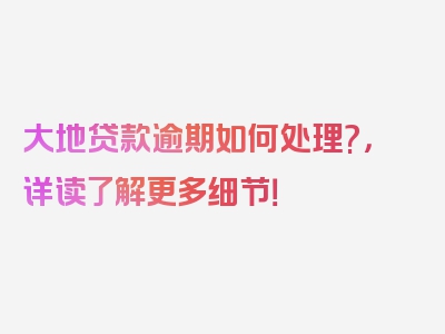 大地贷款逾期如何处理?，详读了解更多细节！