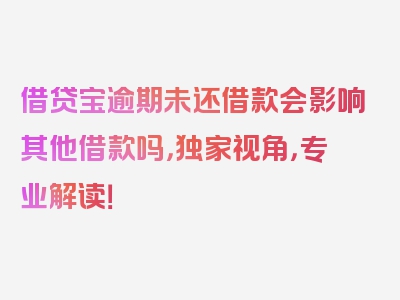 借贷宝逾期未还借款会影响其他借款吗，独家视角，专业解读！