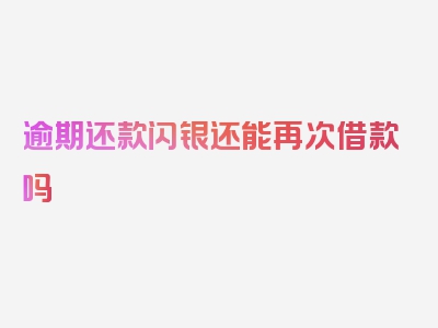 逾期还款闪银还能再次借款吗