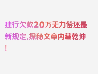 建行欠款20万无力偿还最新规定，探秘文章内藏乾坤！