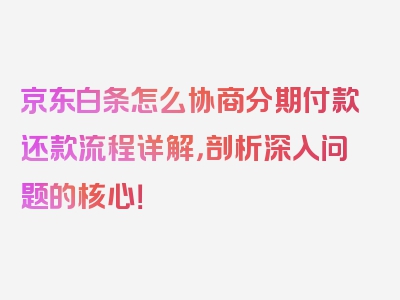 京东白条怎么协商分期付款还款流程详解，剖析深入问题的核心！