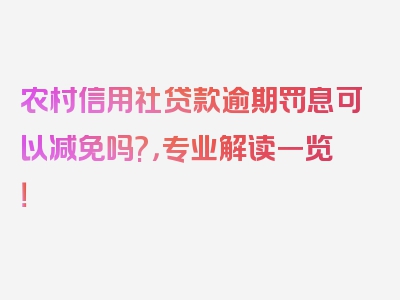 农村信用社贷款逾期罚息可以减免吗?，专业解读一览！
