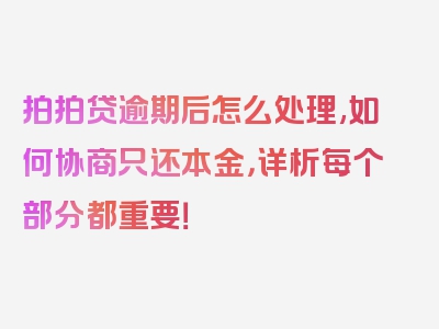 拍拍贷逾期后怎么处理,如何协商只还本金，详析每个部分都重要！