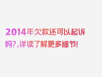 2014年欠款还可以起诉吗?，详读了解更多细节！
