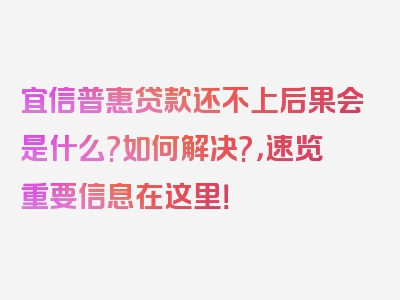 宜信普惠贷款还不上后果会是什么?如何解决?，速览重要信息在这里！