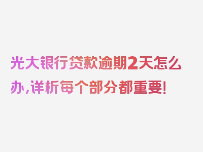 光大银行贷款逾期2天怎么办，详析每个部分都重要！
