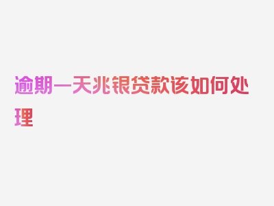 逾期一天兆银贷款该如何处理