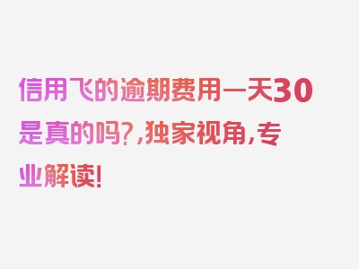 信用飞的逾期费用一天30是真的吗?，独家视角，专业解读！