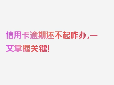 信用卡逾期还不起咋办，一文掌握关键！