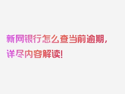 新网银行怎么查当前逾期，详尽内容解读！