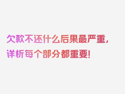 欠款不还什么后果最严重，详析每个部分都重要！