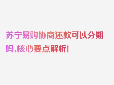 苏宁易购协商还款可以分期吗，核心要点解析！