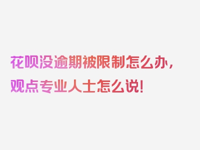 花呗没逾期被限制怎么办，观点专业人士怎么说！