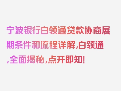 宁波银行白领通贷款协商展期条件和流程详解,白领通，全面揭秘，点开即知！