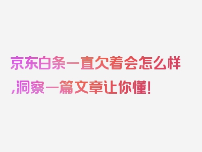 京东白条一直欠着会怎么样，洞察一篇文章让你懂！