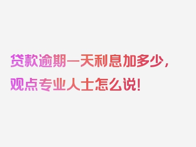 贷款逾期一天利息加多少，观点专业人士怎么说！