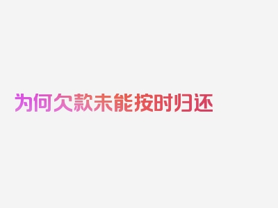 为何欠款未能按时归还