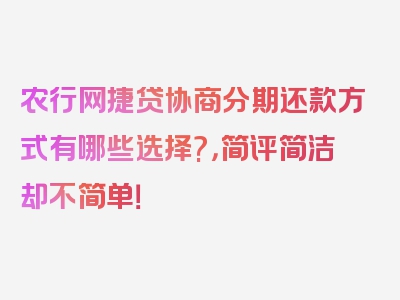 农行网捷贷协商分期还款方式有哪些选择?，简评简洁却不简单！