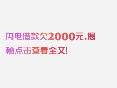 闪电借款欠2000元，揭秘点击查看全文！