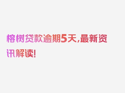 榕树贷款逾期5天，最新资讯解读！