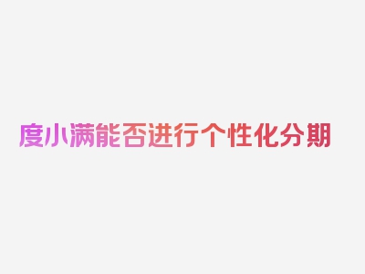 度小满能否进行个性化分期