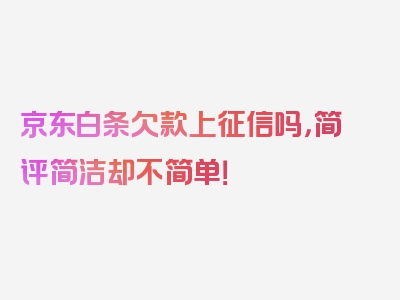 京东白条欠款上征信吗，简评简洁却不简单！