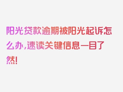 阳光贷款逾期被阳光起诉怎么办，速读关键信息一目了然！