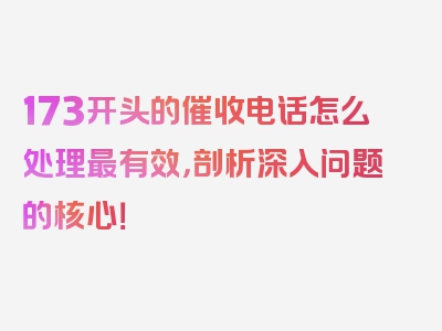 173开头的催收电话怎么处理最有效，剖析深入问题的核心！