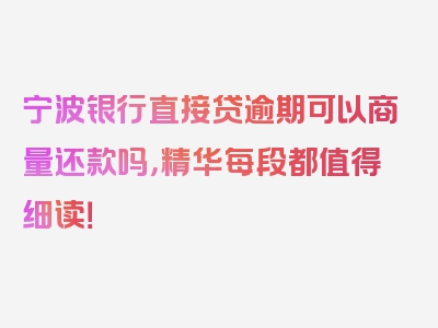宁波银行直接贷逾期可以商量还款吗，精华每段都值得细读！