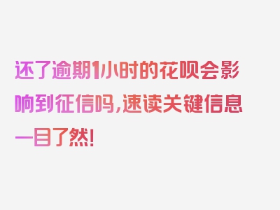 还了逾期1小时的花呗会影响到征信吗，速读关键信息一目了然！