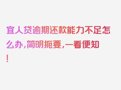 宜人贷逾期还款能力不足怎么办，简明扼要，一看便知！