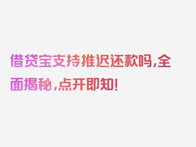 借贷宝支持推迟还款吗，全面揭秘，点开即知！