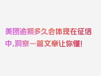美团逾期多久会体现在征信中，洞察一篇文章让你懂！