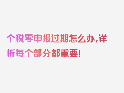 个税零申报过期怎么办，详析每个部分都重要！