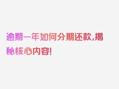 逾期一年如何分期还款，揭秘核心内容！