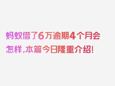 蚂蚁借了6万逾期4个月会怎样，本篇今日隆重介绍!