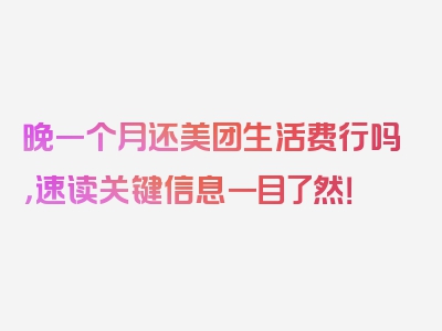 晚一个月还美团生活费行吗，速读关键信息一目了然！