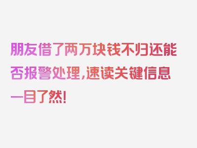 朋友借了两万块钱不归还能否报警处理，速读关键信息一目了然！
