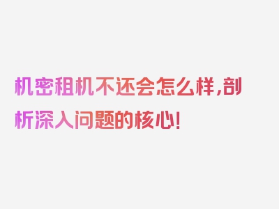 机密租机不还会怎么样，剖析深入问题的核心！