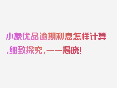小象优品逾期利息怎样计算，细致探究，一一揭晓！
