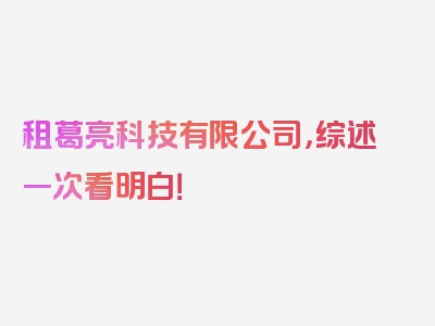租葛亮科技有限公司，综述一次看明白！