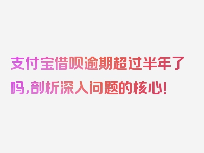 支付宝借呗逾期超过半年了吗，剖析深入问题的核心！