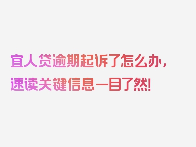 宜人贷逾期起诉了怎么办，速读关键信息一目了然！