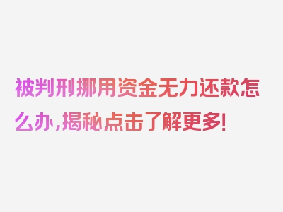被判刑挪用资金无力还款怎么办，揭秘点击了解更多！
